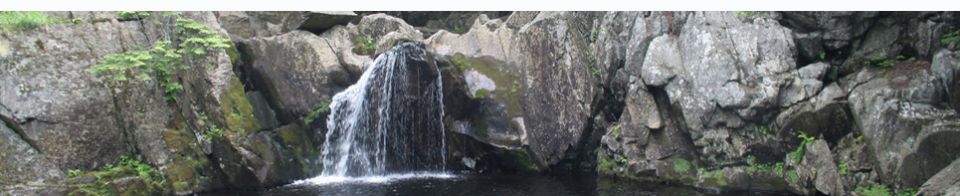 Environmental & Sustainability Studies